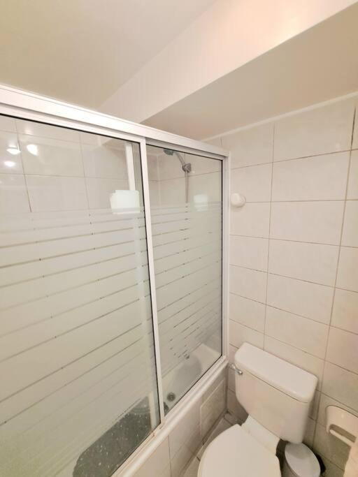 Apartment Studio Metro Moneda *