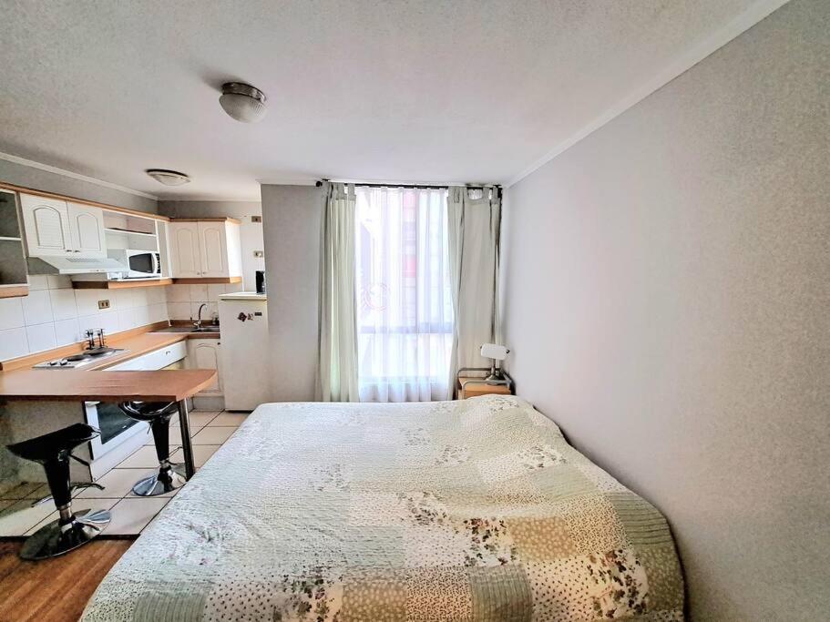 Studio Metro Moneda Apartment *